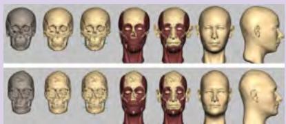 राखीगढ़ी से प्राप्त हड़प्पाकालीन कंकाल अवशेष।
इस कंकाल से डीएनए निकाला गया था।हड़प्पा के पुरुष और स्त्री के क्रमशः श्री-डी
चेहरे की विशेषताओं का पुननिर्माण किया गया हैं।