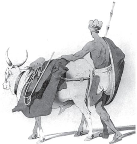 Textbook illustration