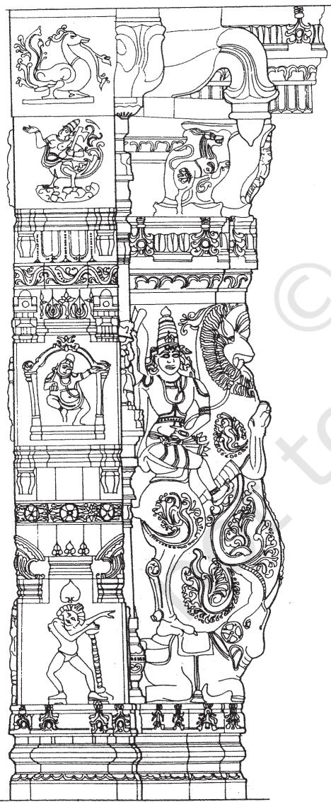 Textbook illustration