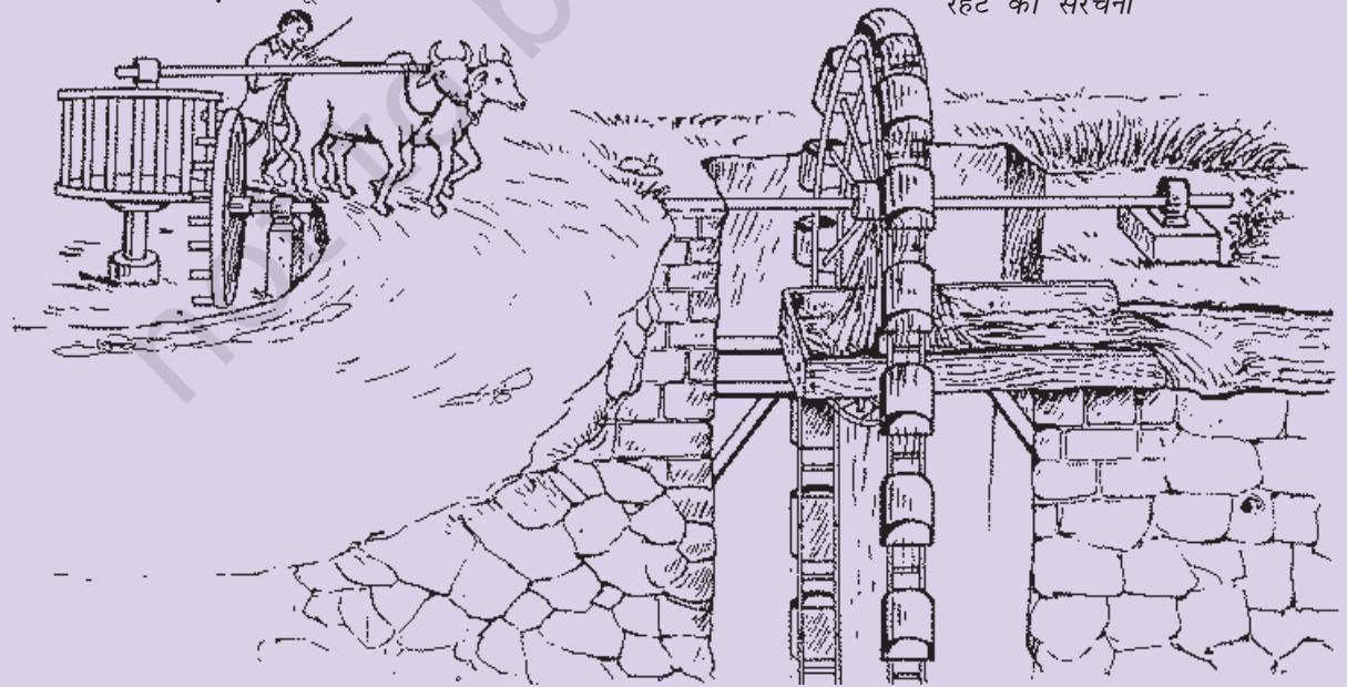 Textbook illustration
