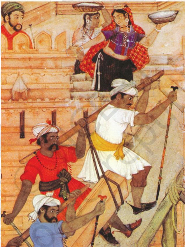 Textbook illustration
