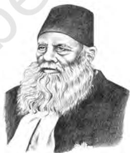 Pandita RamabaiSir Syed Ahmed Khan