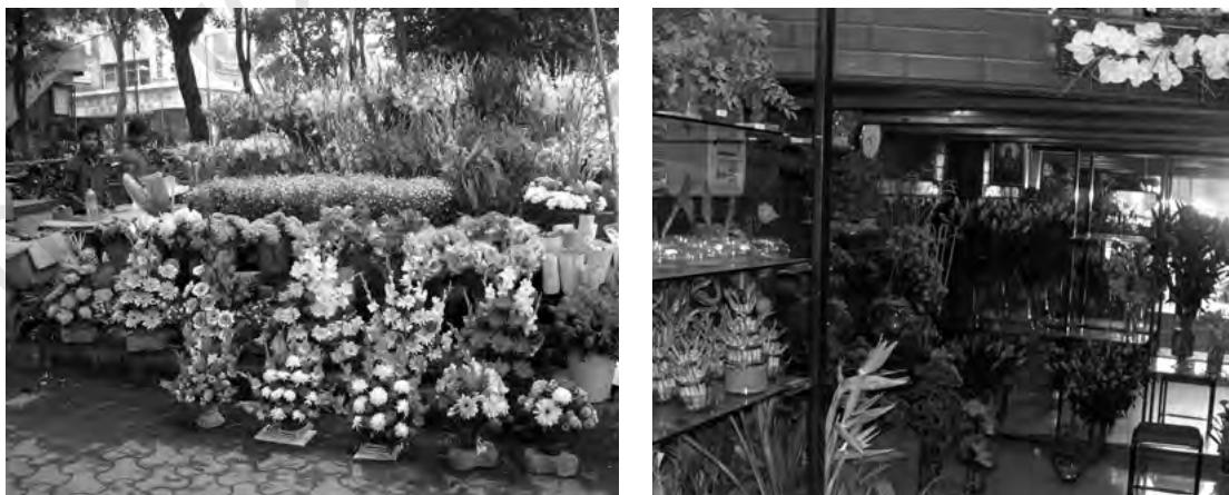 Farming of flowers