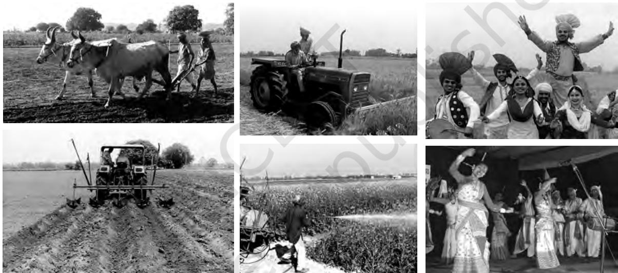 Different means of agriculture and related festivals.