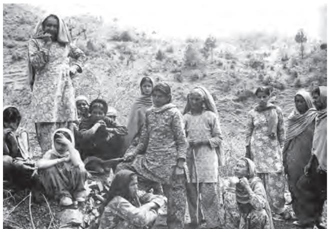 Discussing deforestation, Junagadh,
Himachal Pradesh