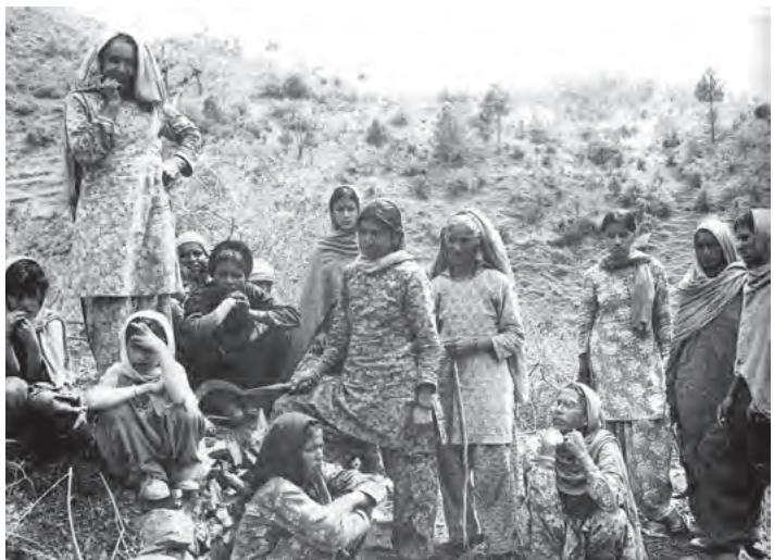 वन विनाश पर विचार विमर्श करते हुए, जूनागढ़, हिमाचल प्रदेश
